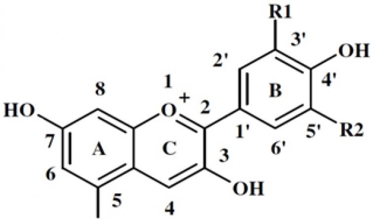 E163 – Antocyjany Wpływ antocyjanów