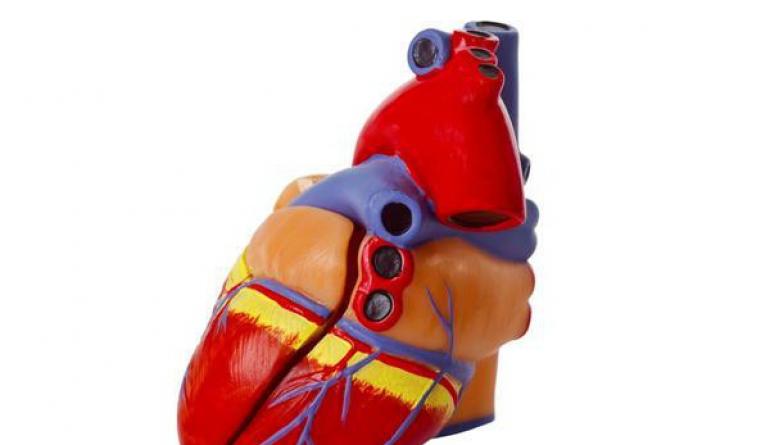 Coarctation ng aorta: sintomas, diagnosis at paggamot