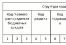 Декодиране на вида на разходите 244 в държавна институция